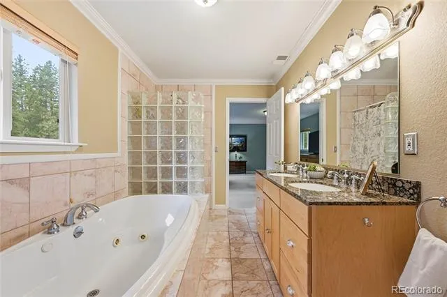 9128 Krashin Drive Conifer, CO 80433