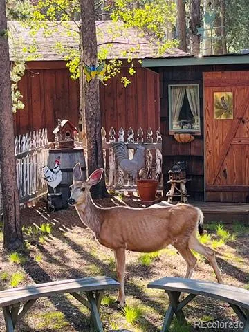 9128 Krashin Drive Conifer, CO 80433