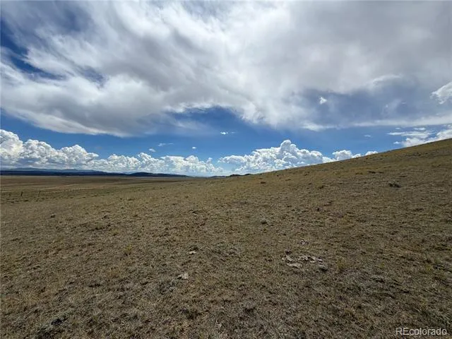 00 Bare Trail Hartsel, CO 80449
