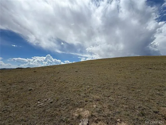 00 Bare Trail Hartsel, CO 80449