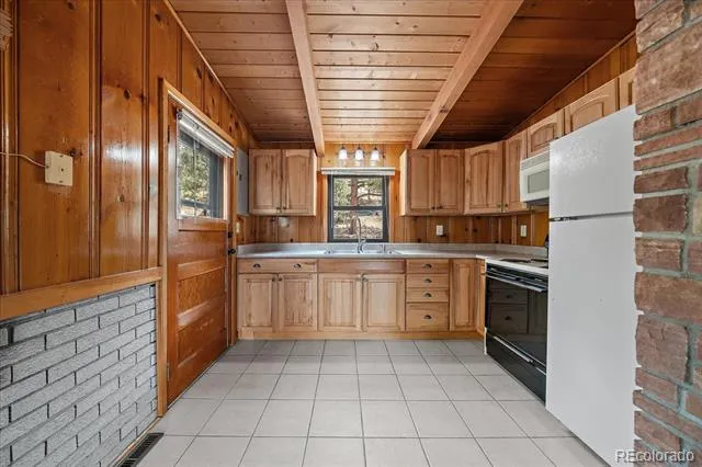 168 Juniper Lane Bailey, CO 80421
