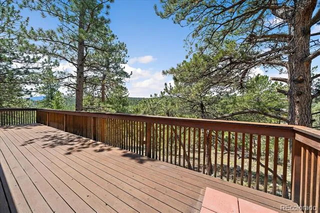 168 Juniper Lane Bailey, CO 80421