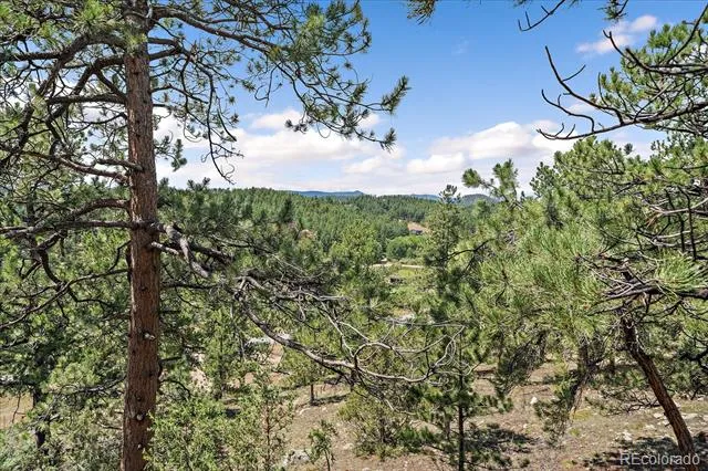 168 Juniper Lane Bailey, CO 80421
