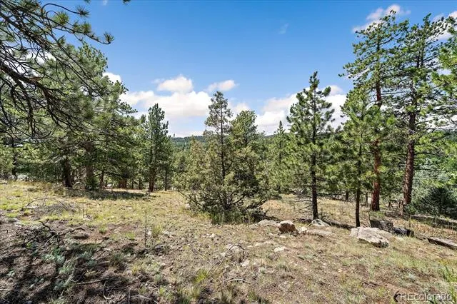 168 Juniper Lane Bailey, CO 80421