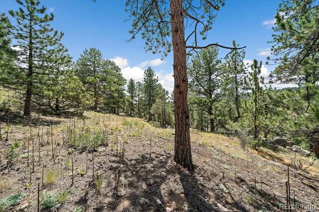 168 Juniper Lane Bailey, CO 80421