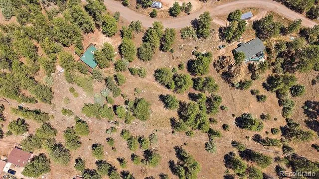 168 Juniper Lane Bailey, CO 80421