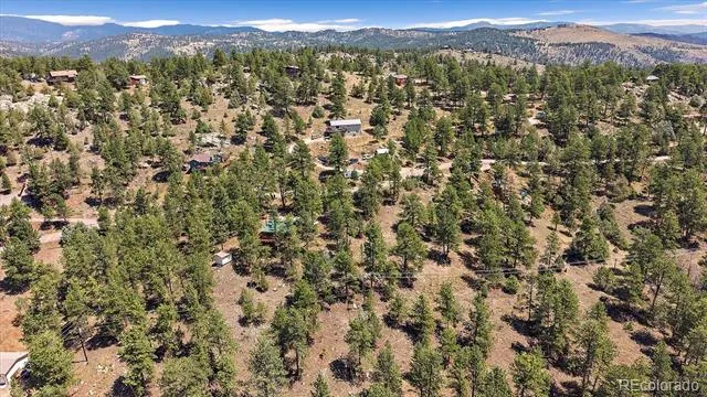 168 Juniper Lane Bailey, CO 80421