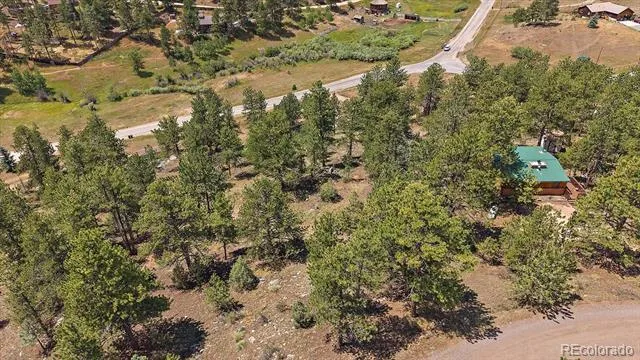 168 Juniper Lane Bailey, CO 80421