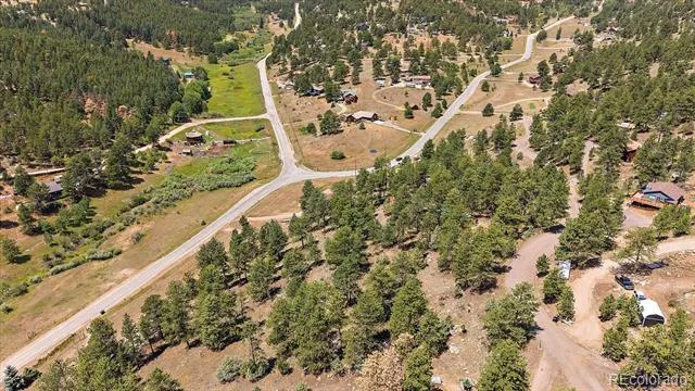 168 Juniper Lane Bailey, CO 80421