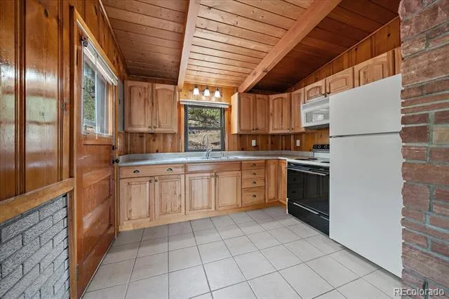168 Juniper Lane Bailey, CO 80421