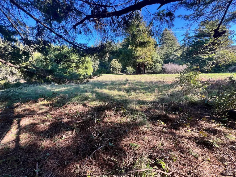 237 Badger The Sea Ranch, CA 95497