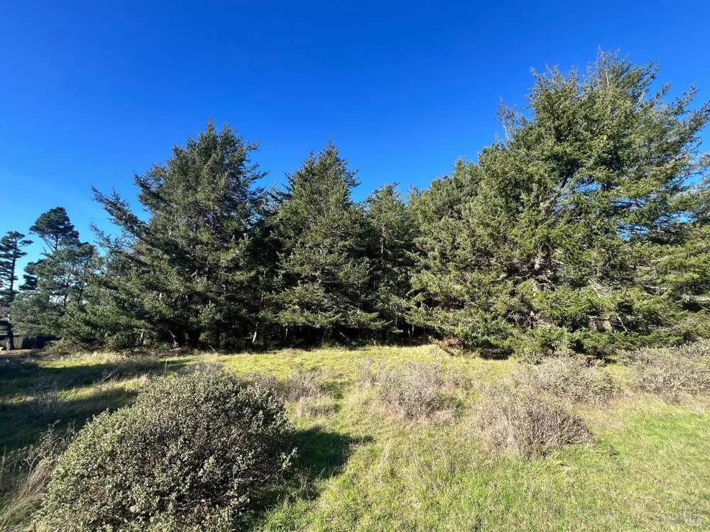 237 Badger The Sea Ranch, CA 95497
