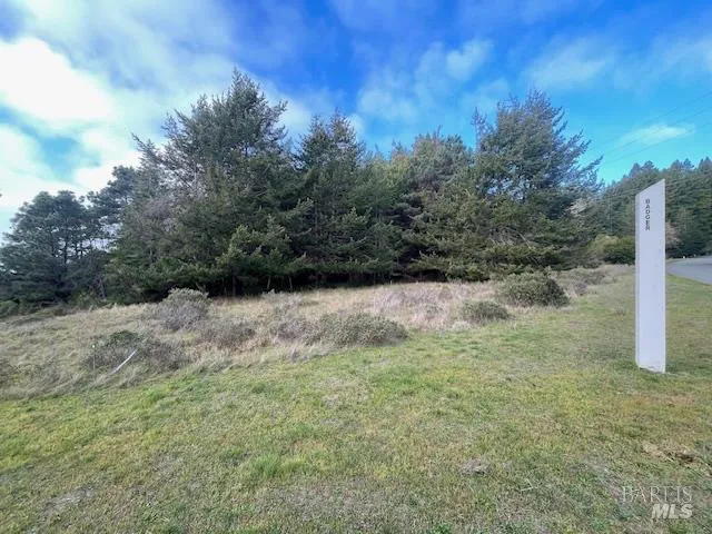 237 Badger The Sea Ranch, CA 95497