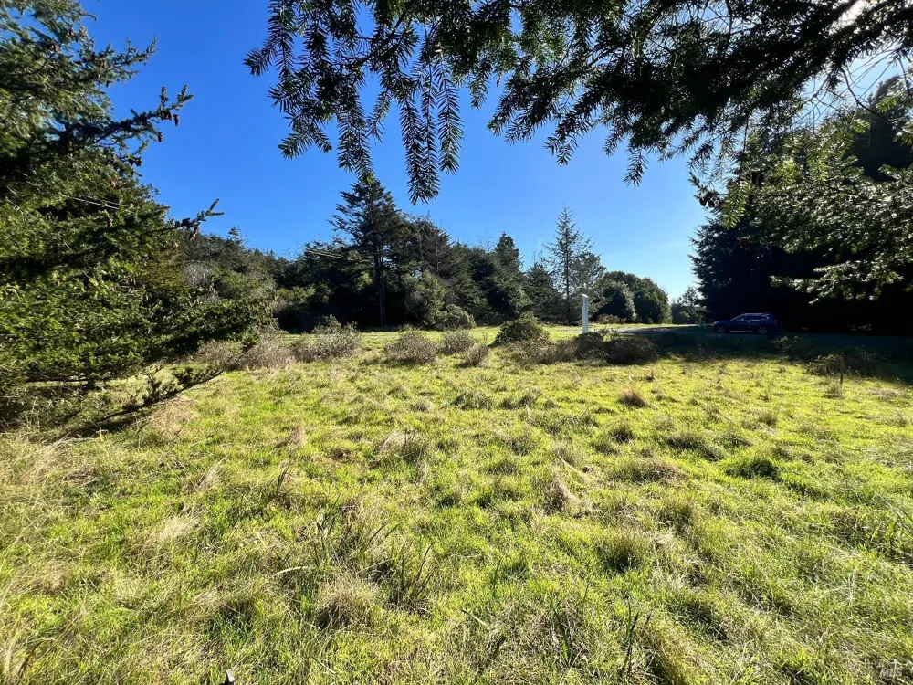 237 Badger The Sea Ranch, CA 95497