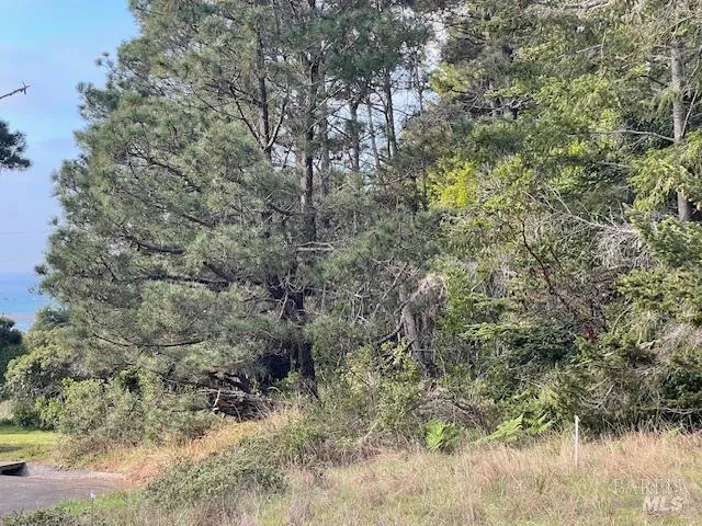 237 Badger The Sea Ranch, CA 95497