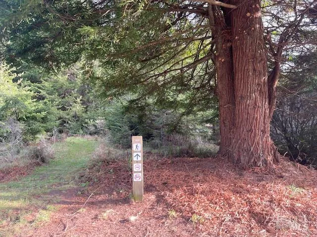 237 Badger The Sea Ranch, CA 95497