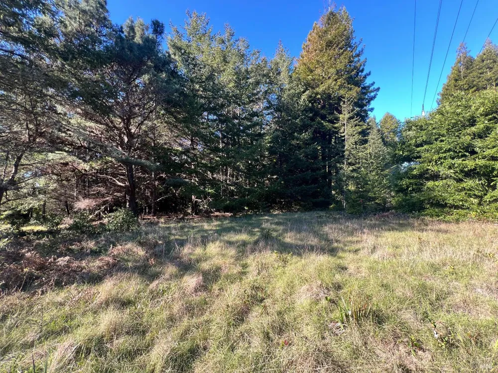 237 Badger The Sea Ranch, CA 95497