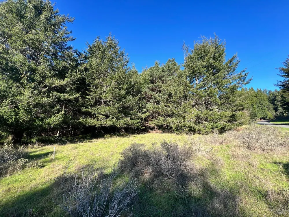 237 Badger The Sea Ranch, CA 95497