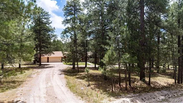 33802 Meadowlark Drive Elizabeth, CO 80107