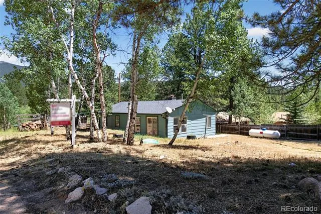 126 Sullivan Street Bailey, CO 80421