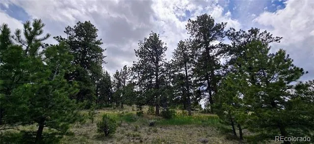 Crystal Falls Westcliffe, CO 81252