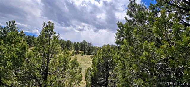 Crystal Falls Westcliffe, CO 81252