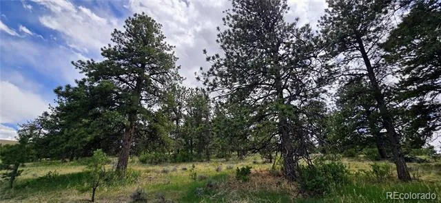 Crystal Falls Westcliffe, CO 81252
