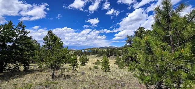 Crystal Falls Westcliffe, CO 81252