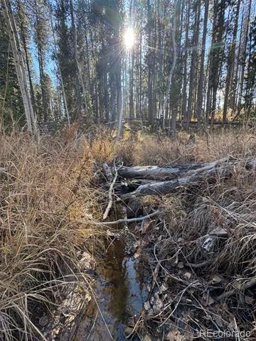 Lot 216620 Indian Springs Road Conifer, CO 80433