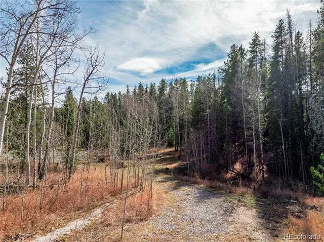 Lot 216620 Indian Springs Road Conifer, CO 80433