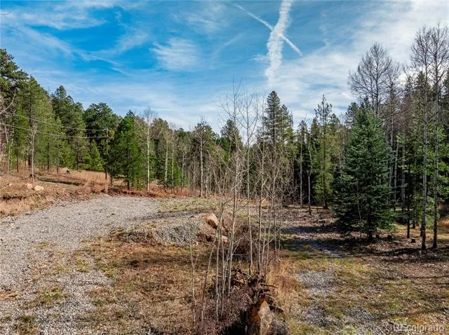 Lot 216620 Indian Springs Road Conifer, CO 80433