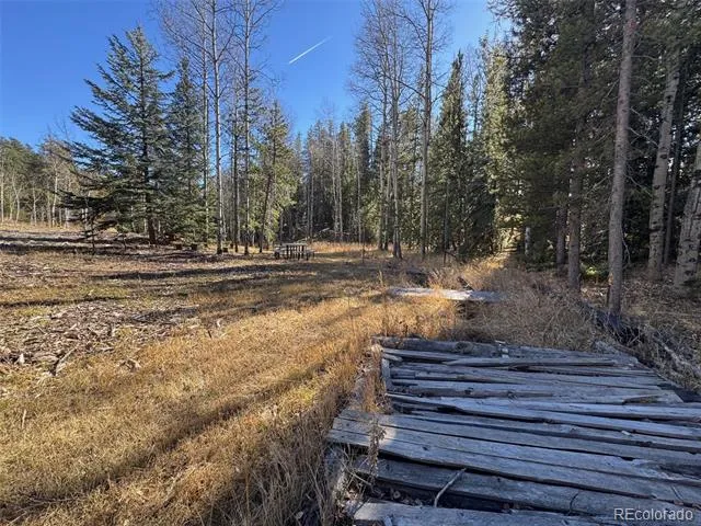 Lot 216620 Indian Springs Road Conifer, CO 80433
