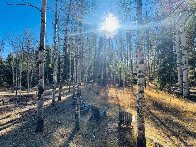 Lot 216620 Indian Springs Road Conifer, CO 80433