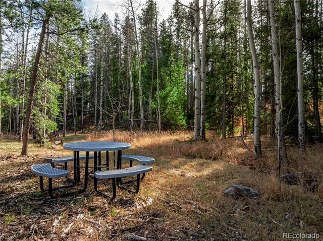Lot 216620 Indian Springs Road Conifer, CO 80433