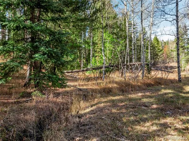 Lot 216620 Indian Springs Road Conifer, CO 80433