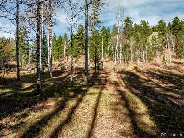 Lot 216620 Indian Springs Road Conifer, CO 80433