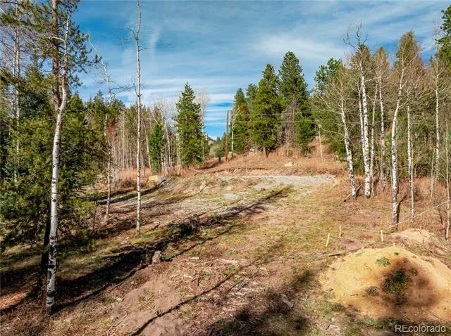 Lot 216620 Indian Springs Road Conifer, CO 80433