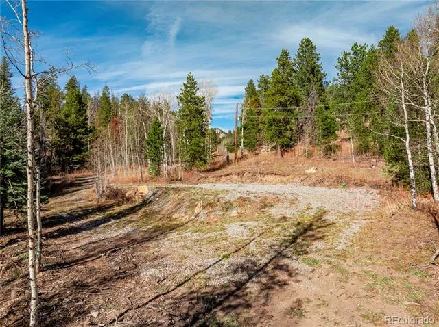 Lot 216620 Indian Springs Road Conifer, CO 80433
