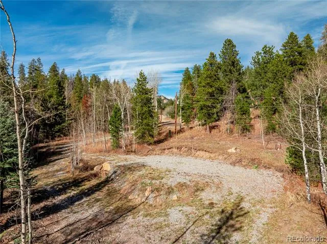 Lot 216620 Indian Springs Road Conifer, CO 80433