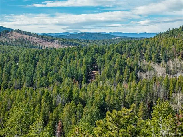 Lot 216620 Indian Springs Road Conifer, CO 80433