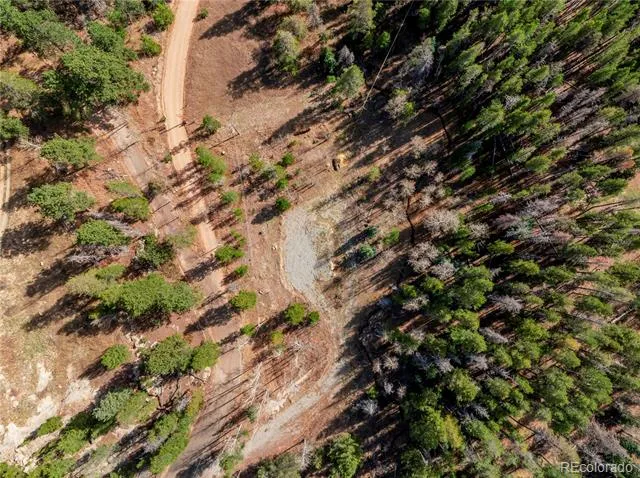 Lot 216620 Indian Springs Road Conifer, CO 80433