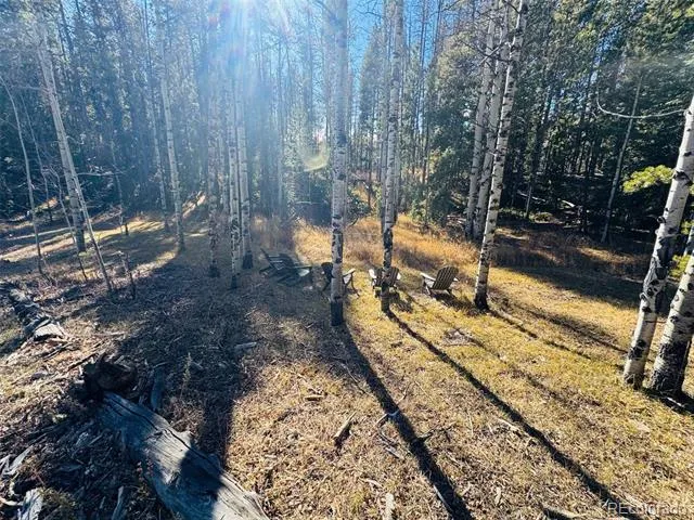 Lot 216620 Indian Springs Road Conifer, CO 80433