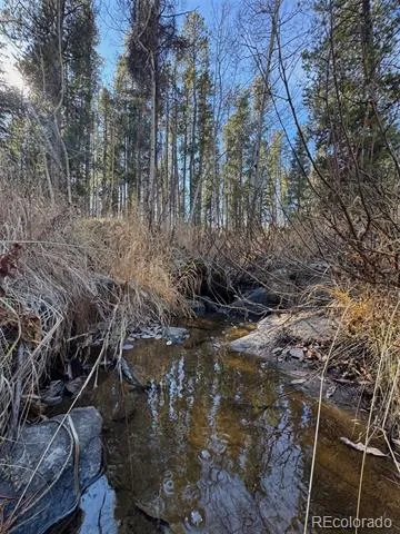 Lot 216620 Indian Springs Road Conifer, CO 80433