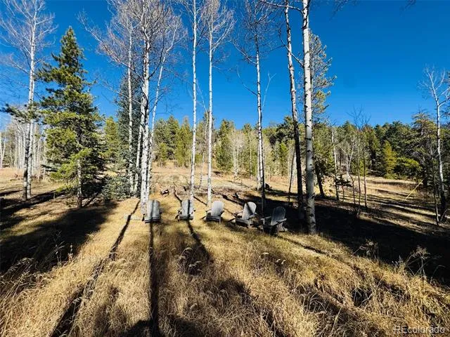 Lot 216620 Indian Springs Road Conifer, CO 80433