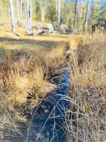 Lot 216620 Indian Springs Road Conifer, CO 80433
