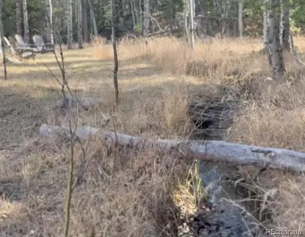 Lot 216620 Indian Springs Road Conifer, CO 80433