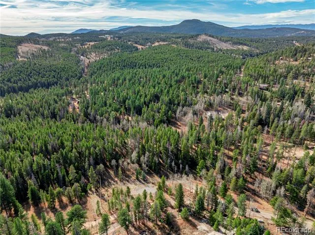 Lot 216620 Indian Springs Road Conifer, CO 80433
