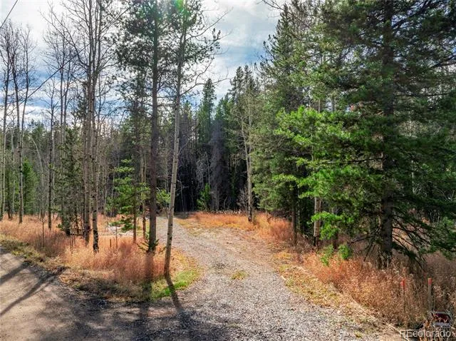 Lot 216620 Indian Springs Road Conifer, CO 80433