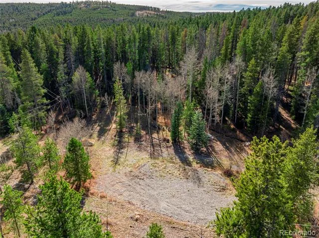 Lot 216620 Indian Springs Road Conifer, CO 80433
