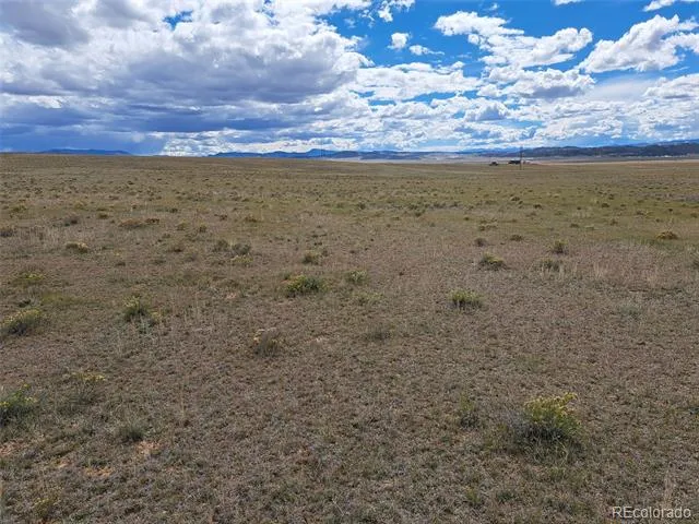 1294 Clear Creek Road Hartsel, CO 80449